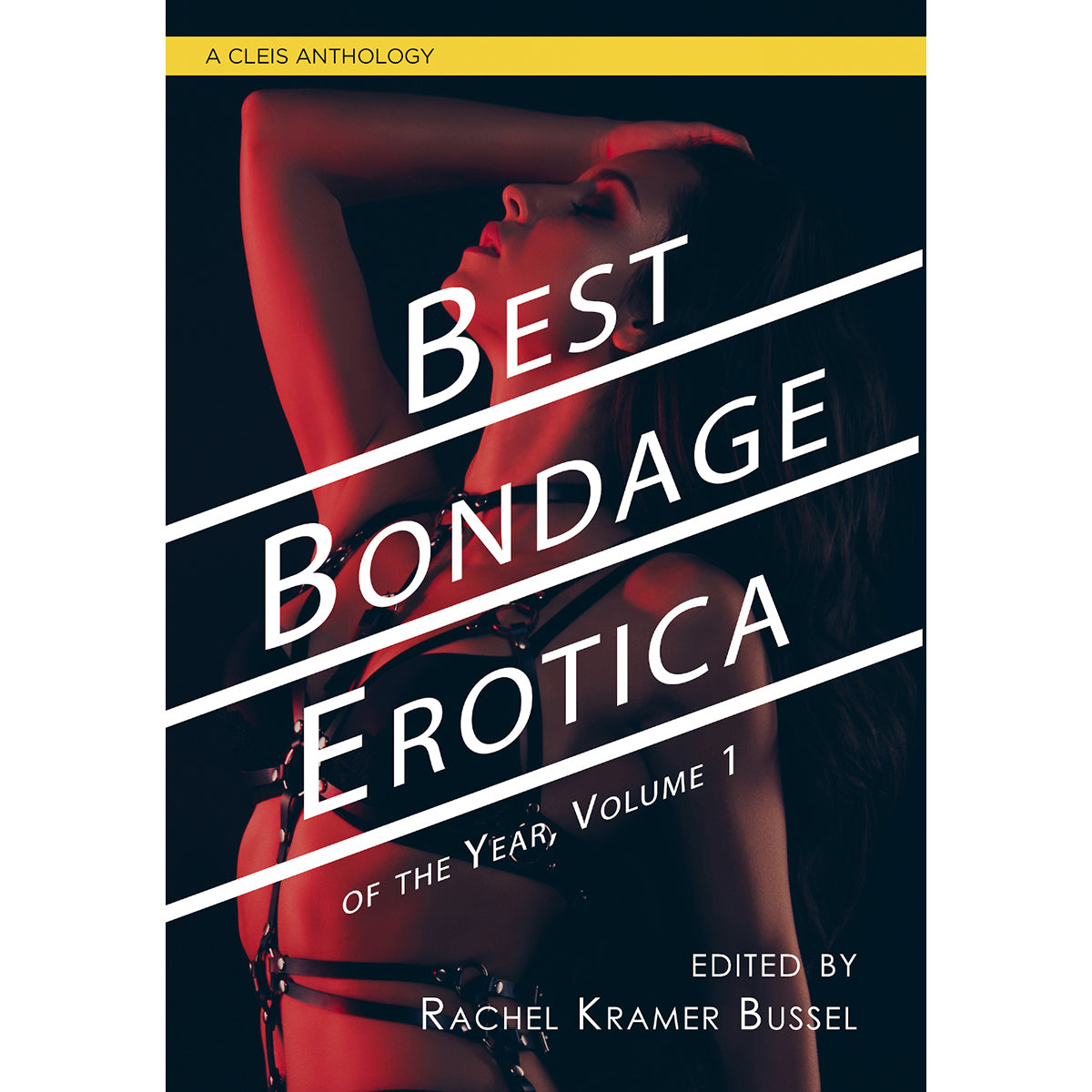 Best Bondage Erotica of the Year Vol 1