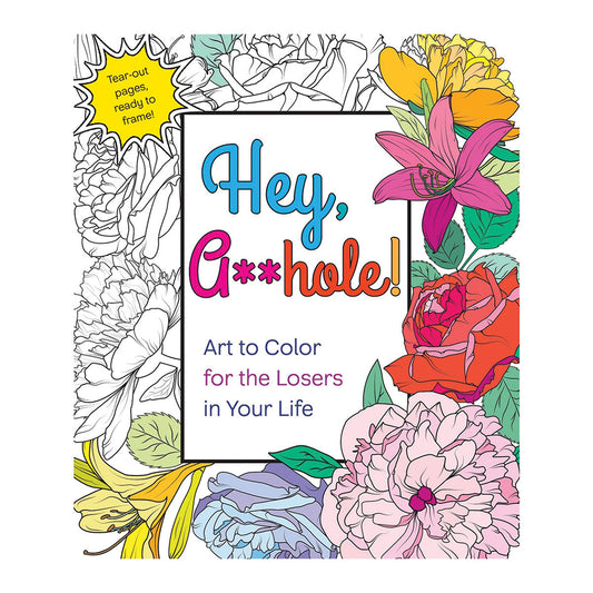 Hey A**hole Coloring Book